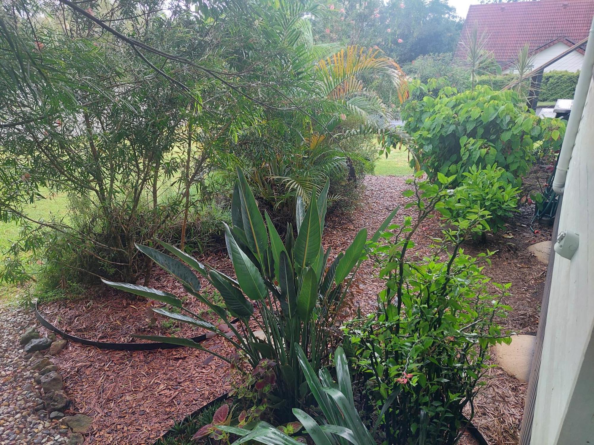 Kyogle Comfy Homestay Habitación foto